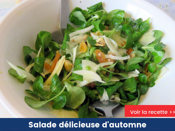 Salade délicieuse d'automne